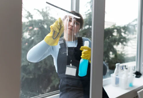 Nettoyage de vitres intérieures et extérieures à Saint-Hilaire-de-Chaléons